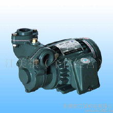 亞士霸油泵價(jià)格 亞士霸油泵批發(fā) 亞士霸油泵廠家 