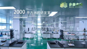 虹橋美博會上的網(wǎng)紅產(chǎn)品定制中心代工廠 技術服務引領行業(yè)新潮流