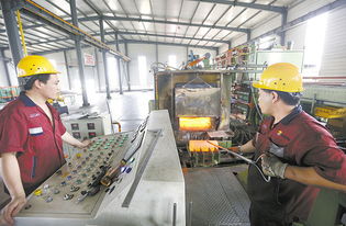 武強(qiáng) 技術(shù)開發(fā)領(lǐng)域的璀璨新星與未來(lái)展望